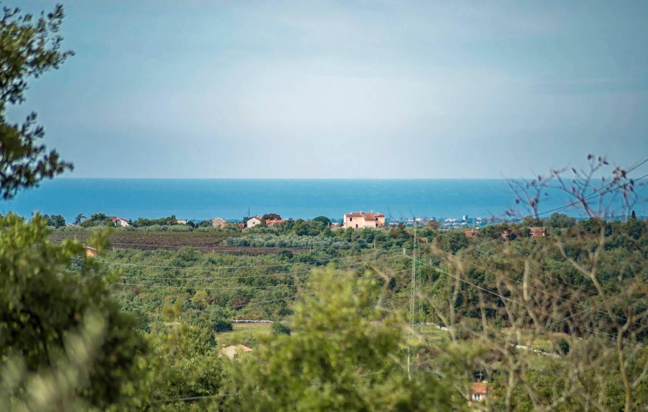 Villa Kluni By Rent Istria Momjan Exterior photo